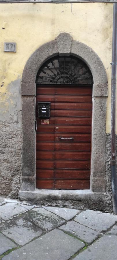 Apartmán Viterbo Alloggio Turistico Hipster House Exteriér fotografie